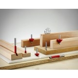 Bosch - Expert Serisi Ahşap İçin Çift Bıçaklı, Tam Sert Metal Kanal Freze Ucu 8*4*50,7 mm